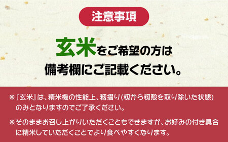 2025年10月頃より順次発送】佐護 ツシマヤマネコ 米 5kg みつめる