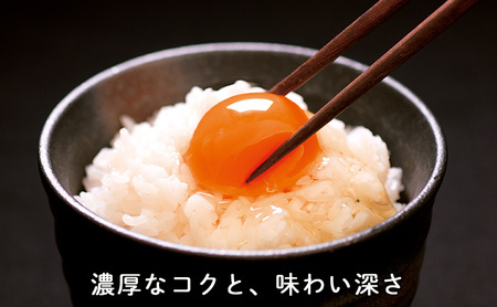 パイエッグ赤卵60コ入り [ 赤たまご 新鮮 濃厚 コク 生卵 たまご 鶏卵 小分け 鳥鹿養鶏園 ] 