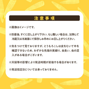 ベビーコーン 農家直送！SDGs米糠堆肥で作った環境に優しい ベビーコーン 50本 /酒見農産/ べびーこーん ※配送不可：離島