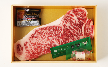 長崎和牛「出島ばらいろ」特選霜降 サーロインステーキ たっぷり 500g (約250g×2枚) 国産 A4等級以上 和牛 牛肉 お肉 ステーキソース 塩コショウ付き 冷凍 長崎