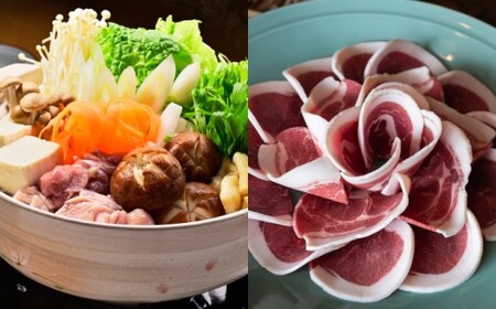 めんつゆ (かつお風味) 200ml×8本 計1600ml ／ 出汁 だし 料理 麺つゆ 調味料 長崎