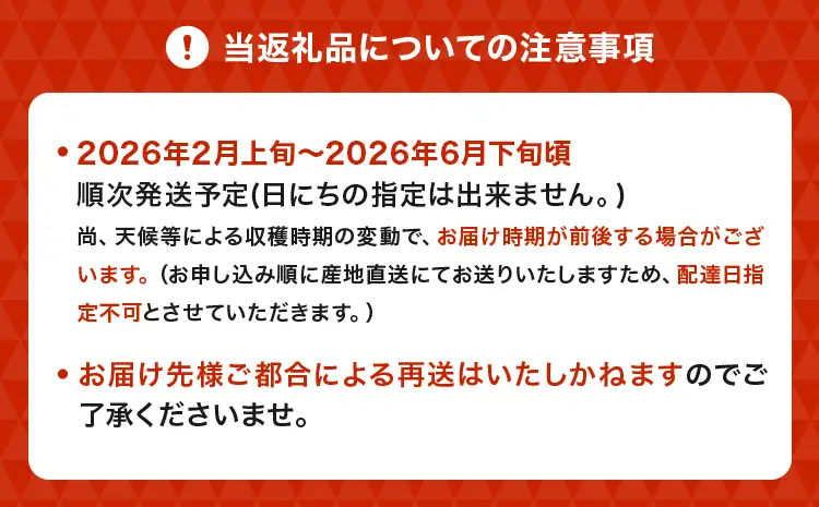 訳あり みかん はるか 約5kg (22玉～27玉)【2026年2月上旬～2026年6月下旬発送】
