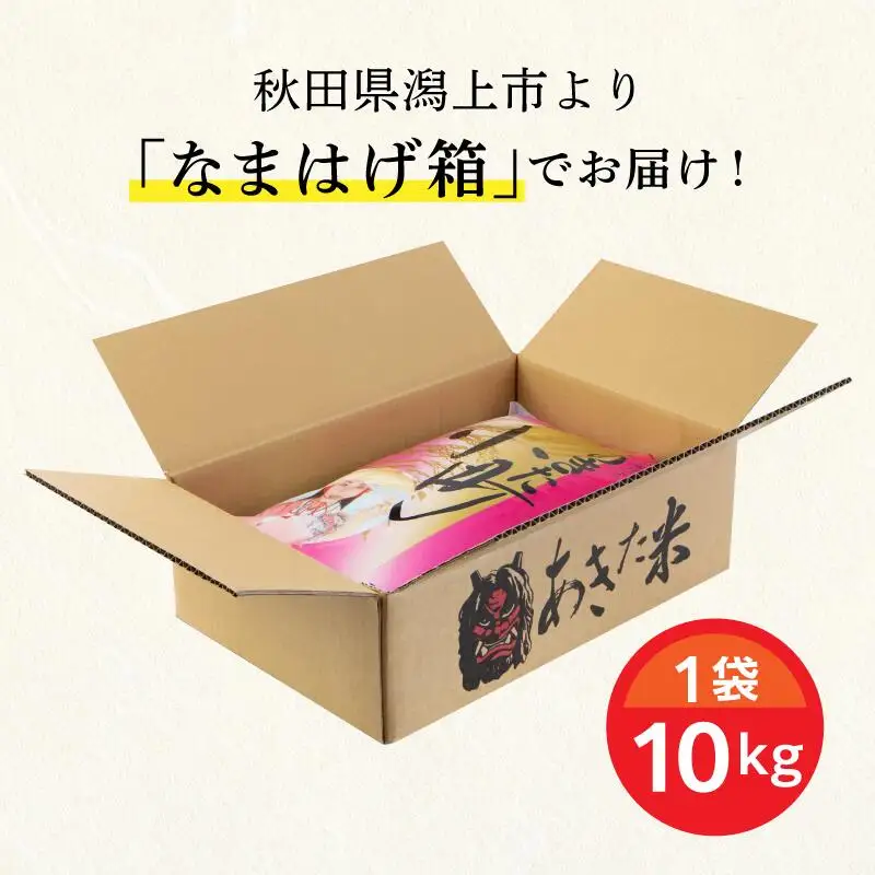 《7営業日以内発送》令和7年産 秋田県産 あきたこまち 10kg 精米【鎌仁商店】