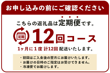 【 定期便 12回 】 熊本県 馬スジ 1㎏（ 500g×2 ） × 12回 【 合計 12kg 】 馬肉 すじ肉 大容量 本場 熊本県 馬 赤身 煮込み カレー シチュー 冷凍 真空 熊本 肥育 ヘルシー 赤身 肉 高栄養 肉 馬スジ 041-0169
