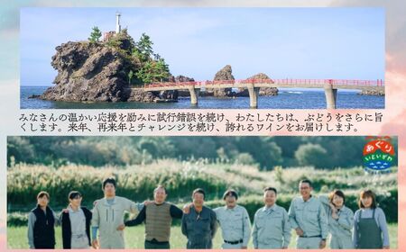 果実味あふれる赤ワイン ラ・マリー2021 750ml  2本 ブドウ 赤ワイン 新潟県 糸魚川 あぐりいといがわ 糸魚川農業興舎 汐路ブドウ園 メルロー 山ぶどう ワイン 酒 ライトボディ クリスマス お正月 christmas