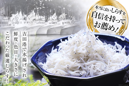 3回 定期便 駿河湾産 しらす干し 100g×3 釜上げしらす 120g×3 計6パック [マルあ水産 静岡県 吉田町 22424642]