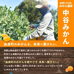 【早生】 ゆら早生 7.5kg ※2026年10月中旬頃～10月下旬頃に順次発送予定【nktn003-r-7d5】