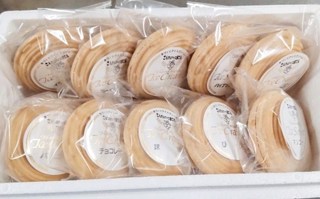 うずまきもなかアイス10個セット ／ 最中 アイス ジャージー牛乳 ジェラート チョコ バニラ 枇杷 イチゴ 抹茶 ラムレーズン クッキークリーム ブルーベリー マンゴー パイナップル シャーベット 冷凍 デザート 長崎