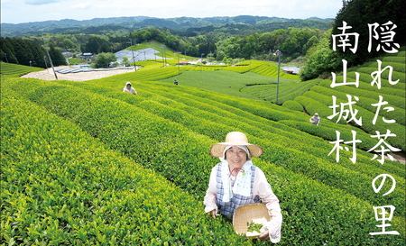 むらちゃ PETボトル 350ml×24本 緑茶 ペットボトル お茶 かぶせ茶 抹茶 飲料 飲み物 ドリンク 水分補給 南山城村 京都府