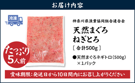 ＜選べる配送月＞【 神奈川県 漁連 】 ＜ お徳用 ＞  天然 まぐろ ねぎとろ 500g M077-011-01 冷凍 マグロ