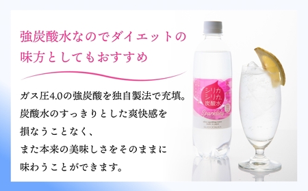 強炭酸水 九州 天然水 シリカ 500ml 24本 飲料水 炭酸水 美容 ミネラル 大分県 玖珠町