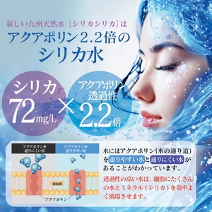 九州天然水 シリカシリカ 500ml×48本 天然水 シリカ 軟水 ミネラル 水 飲料水 美容 備蓄 防災 大分県 玖珠町 名水百選 湧水 ナチュラルミネラルウォーター コラーゲン ケラチン 生成 サポート シリカ含有 72mg/l 国内有数 シリカ水 アクアポリン 透過性 秋田県立大学 名誉教授 北川