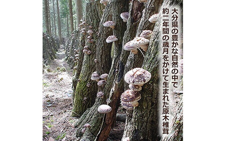 大分産椎茸こうしん 450g（50g×9袋） 大分産 椎茸 こうしん 乾燥しいたけ 干ししいたけ 小分け包装 原木しいたけ 香り 深い味 和食 中華 水戻し 保存 シリアル番号 安心 安全 食品 ギフト お裾分け 親戚 ご近所