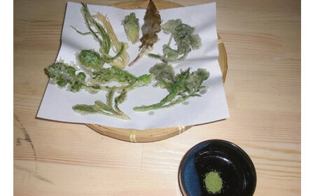 大分県さかもと村ペア１泊２日&食べられる野草摘み体験 大分県 さかもと村 ペア １泊２日 体験 宿泊 夕食 朝食 古民家 野草摘み 野草 天ぷら 自家製野菜 創作料理 シェフ 特製 料理 非日常 抹茶塩 試食 食べられる 野草体験 朝食後 古民家宿泊 田舎体験 食体験