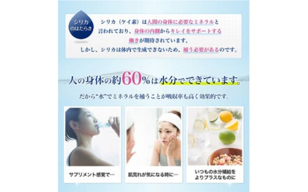 biora天然シリカ水 500ml×24本×3回 天然水 シリカ水 軟水 ミネラル 美容 健康 玖珠町 大分県 九州 自然 防災 備蓄 安全 人工添加物なし 72mg/リットル 含有 3ヶ月 美しい水 継続 吸収 効率 健康志向