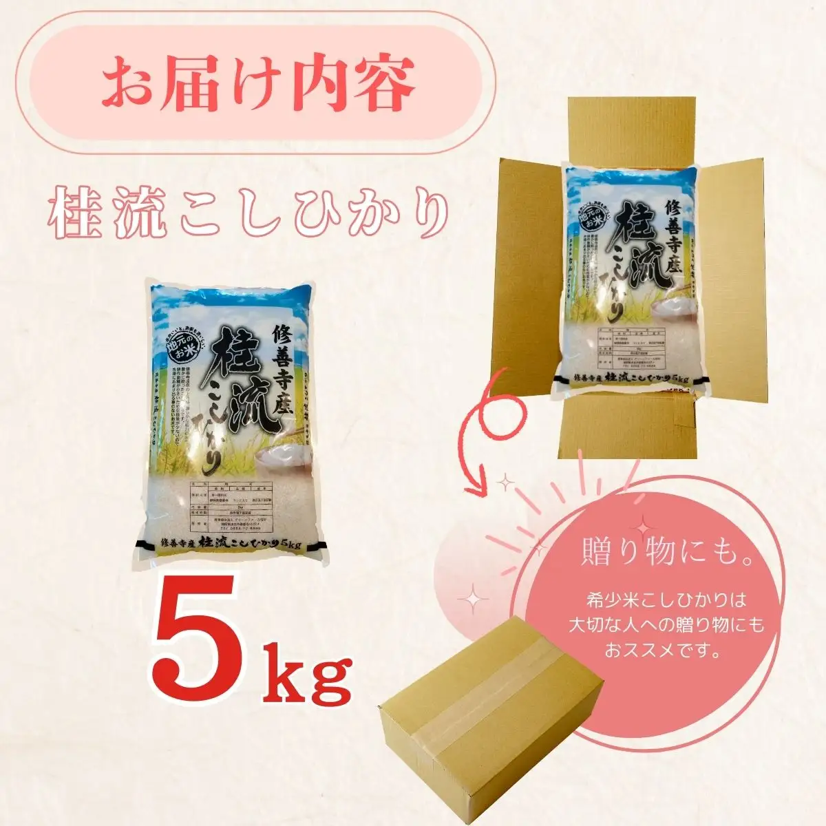 米 桂流 こしひかり 米 （ 数量限定 100 セット）米 特別栽培米 米 ５㎏  015-013