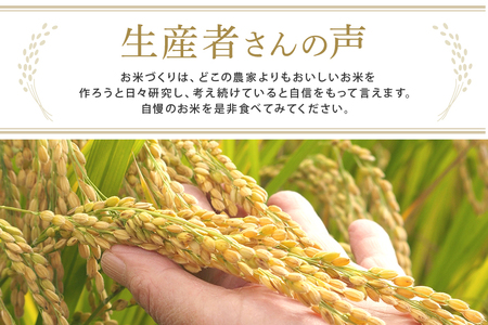 常陸大宮産 コシヒカリ 10kg(5kg×2) こしひかり ブランド米 茨城 【コシヒカリ】【ho1397】