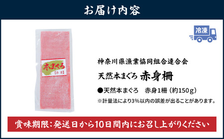 【 入金確認後、7営業日以内に発送予定 または 配送月が選べる 】神奈川県 漁連 天然本マグロ 赤身サク M077-012-01 冷凍 マグロ