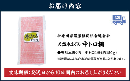 【 入金確認後、7営業日以内に発送予定 または 配送月が選べる 】神奈川県 漁連 天然 本マグロ 中トロサク M077-012-02 冷凍 マグロ
