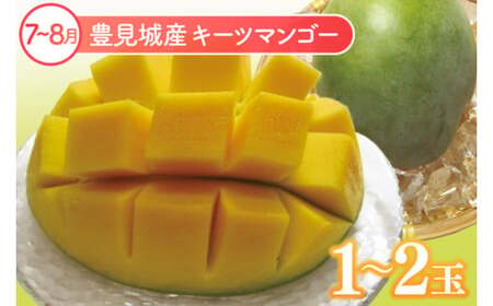 【全6回】人気！沖縄フルーツ定期便 (AC020)