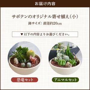サボテンのオリジナル寄せ植え（小）【恐竜セット/アニマルセット】[133O03]　本格サボテン 産地直送サボテン フィギュア付きサボテン インテリア ギフト プレゼント オシャレ かわいい サボテン寄せ植え オリジナルサボテン 人気サボテン 多肉植物 