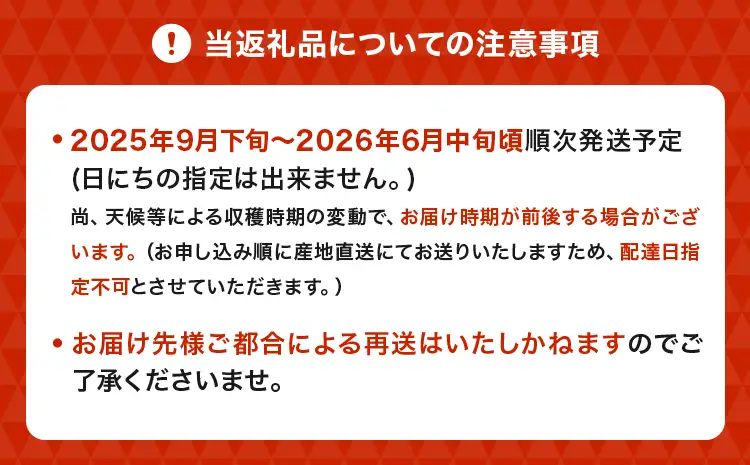 レモン 国産 マイヤーレモン 約3kg 15～20玉 【2025年9月下旬～2026年6月中旬発送】