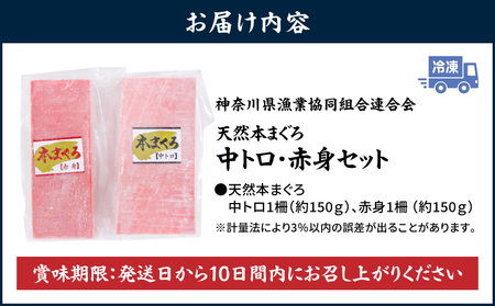 【 入金確認後、7営業日以内に発送予定 または 配送月が選べる 】神奈川県漁連 天然本マグロ 中トロ ・ 赤身 セット　M077-012-03 冷凍 マグロ