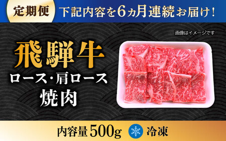 【6回定期便】 飛騨牛 焼肉用 ロース・肩ロース 500g A5等級 [TAZ032]肩ロース 定期便