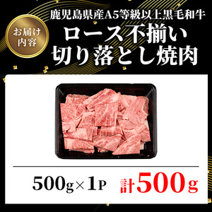 鹿児島県産 A5 等級以上 黒毛和牛 ロース 不揃い 切り落とし 焼肉 計500g(500g×1パック)【ビーフ倉薗】A521-v01