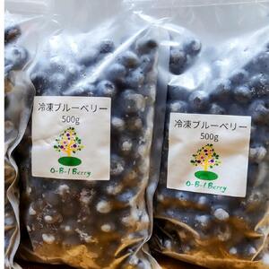 【2026年先行予約】【訳あり】O-B-Iベリ―農園の冷凍ブルーベリー1kg（500g×2） [h185]