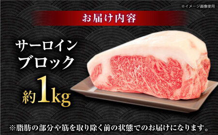 くまもとあか牛 サーロイン ステーキ ブロック肉 約1kg【有限会社スイートサプライなかぞの】[ZBV054]