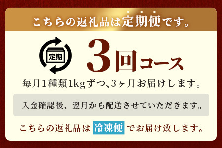 【定期便3回】1kg×3種！くまもと ビーフ 満喫 お楽しみ定期便【合計3kg】 092-0019