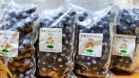 【2026年先行予約】【訳あり】O-B-Iベリ―農園の冷凍ブルーベリー2kg（500g×4） [h185]