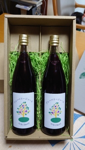O-B-Iベリー農園のブルーベリージュース　720ml×2本 ブルーベリージュース 果汁飲料 ハイブッシュ ラビットアイ ブレンド 完熟 果物 ジュース 数量限定 ギフト 贈り物 山梨県 北杜市産 [h185]