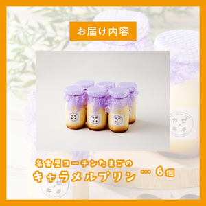 名古屋コーチンたまごのキャラメルプリン　6個セット[075K11]キャラメルプリン プリンセット コーチンプリン 卵プリン 濃厚プリン