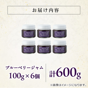 【12161】贅沢な国産ブルーベリージャム(100g×6個・計600g)ジャム 瓶 果物 果実 フルーツ パン【村山製油】