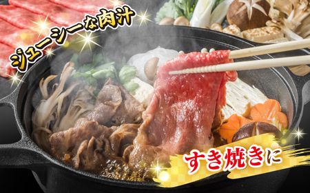 【全2回定期便】【訳あり】【A4～A5ランク】 長崎和牛 赤身 霜降り しゃぶしゃぶ・すき焼き用 1.2kg(600g×2パック)（肩・モモ）《壱岐市》【株式会社MEAT PLUS】 肉 牛肉 訳あり しゃぶしゃぶ用 すき焼用 A5 [JGH099]