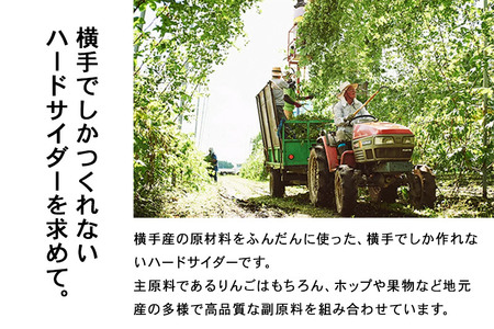 OK,ADAM ハードサイダー飲み比べ ORIGIN・HOP IN！ 各3本 計6本