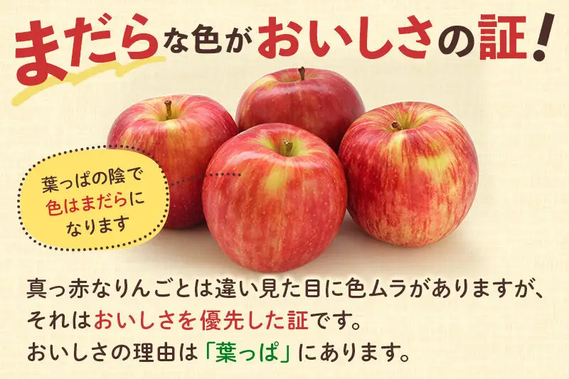＜先行受付 12月下旬より発送＞横手産 葉とらずふじ 約5kg