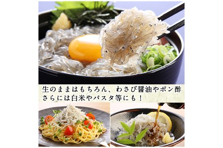 【22517】鹿児島県産生しらす(冷凍)計1kg(100g×10パック) 獲れたてしらすを急速冷凍！鮮度抜群なしらすをご家庭で気軽に！【東串良町漁業協同組合】