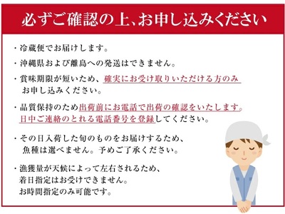 SB0522　地魚おまかせセット(下処理済)　計1kg以上(3～5種類入)