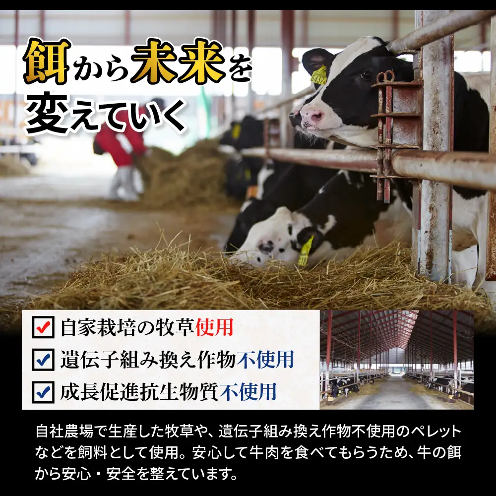 北海道十勝芽室町　未来とかち牛モモブロック　300g　 北海道 牛肉 ビーフ ステーキ サーロイン 芽室町 me073-006c