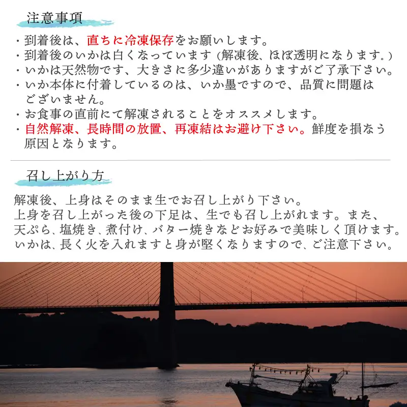 『先行予約』呼子のいか活造り1杯! コリコリ甘い鮮度抜群の透明感! 約200g 刺身 ギフト 冷凍 ※水揚げあり次第6月以降順次発送させていただきます。