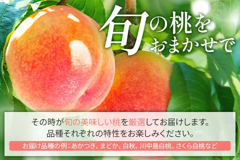 ＜先行受付 8月中旬より発送＞横手産の桃（大玉）約2kg（6個入）