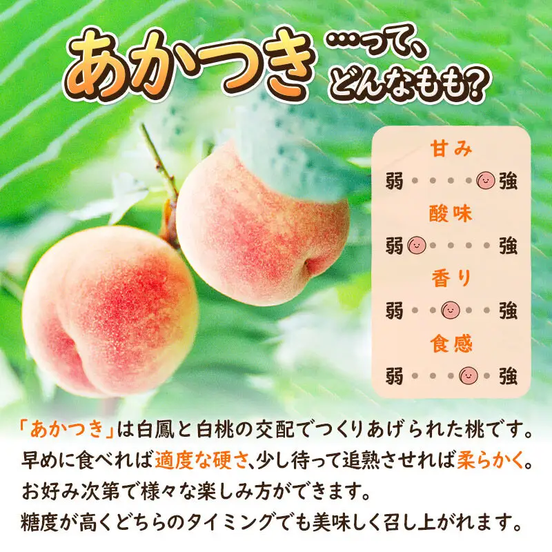 《先行受付！7月下旬より順次発送》夏の太陽をたくさん浴びた桃 あかつき 約3kg（9～13玉前後）