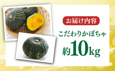 【先行予約】【数量限定50セット】よこすか こだわりかぼちゃ 約10kg 野菜 かぼちゃ 野菜 南瓜 カボチャ 野菜【JAよこすか葉山】 [AKFO004]