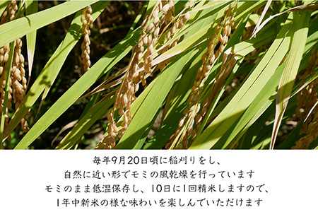 特別栽培棚田米「蕨野」5kg×1袋(合計5kg) 家庭排水が一切入らない自然水で作られたお米 10日に1回精米で新米のような味わい
