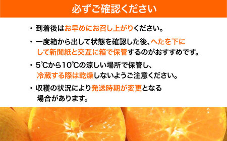 みかん【先行予約】みかん 10kg [AGBC006]