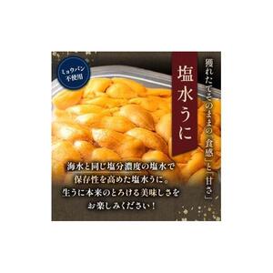 天然 エゾバフンうに （上）塩水うに 100g 