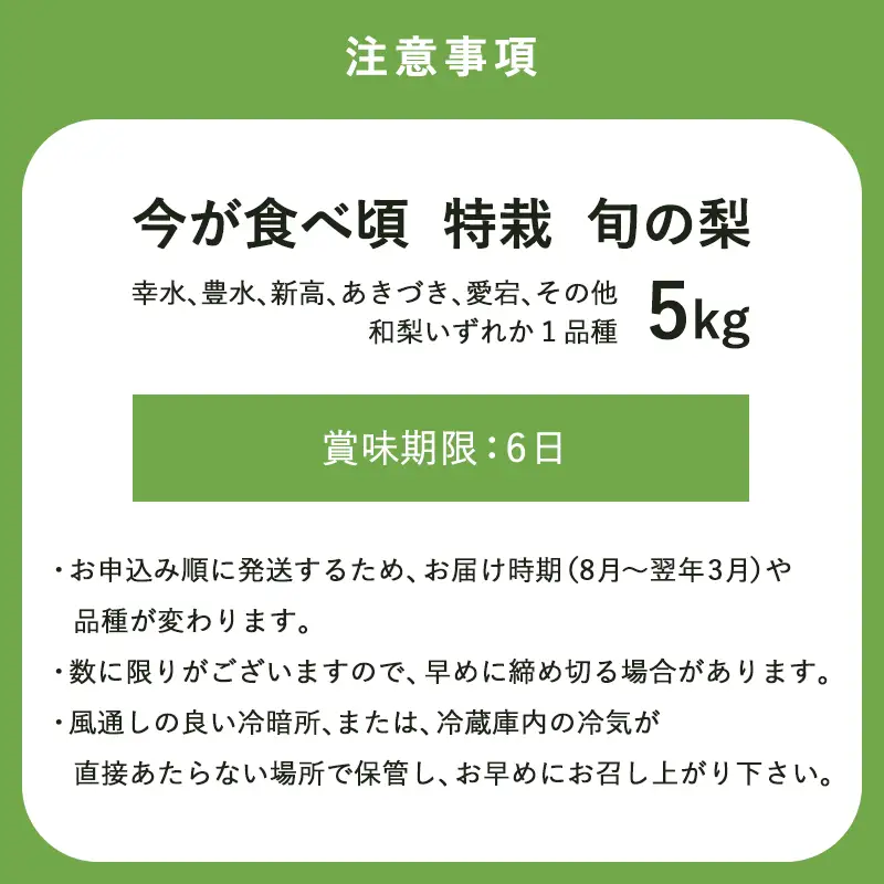 『先行予約』今が食べ頃 特栽 旬の梨5kg【令和8年の夏ごろの発送】和梨 幸水 豊水 新高 あきづき 愛宕 果物 フルーツ くだもの